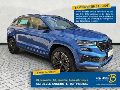 Bild Skoda Karoq