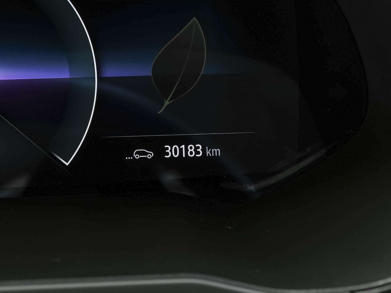 Fahrzeugbild eines Renault ZOE