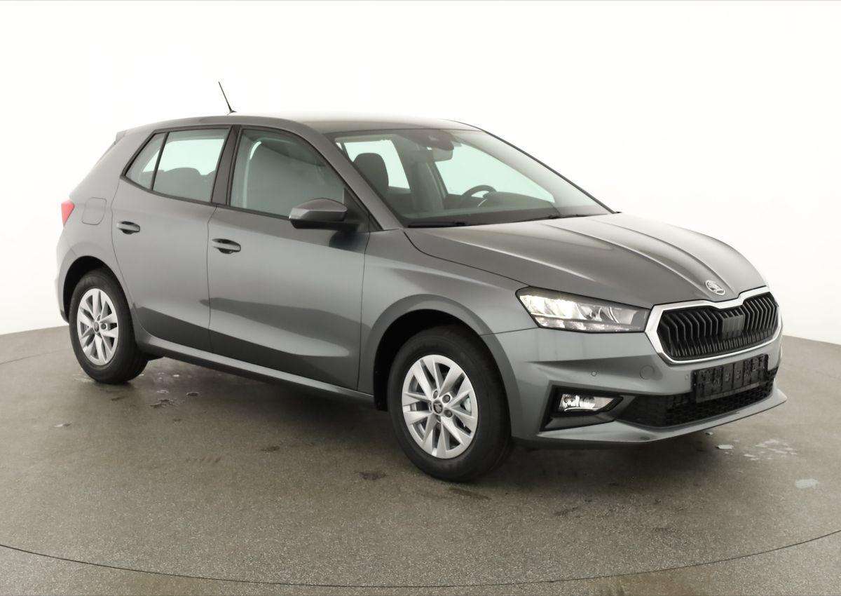 Fahrzeugbild eines Skoda Fabia