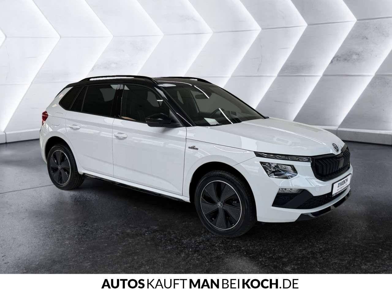 Fahrzeugbild eines Skoda Kamiq