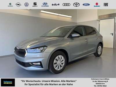 Bild Skoda Fabia