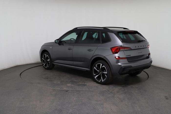 Fahrzeugbild eines Skoda Kamiq