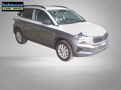 Bild Skoda Karoq