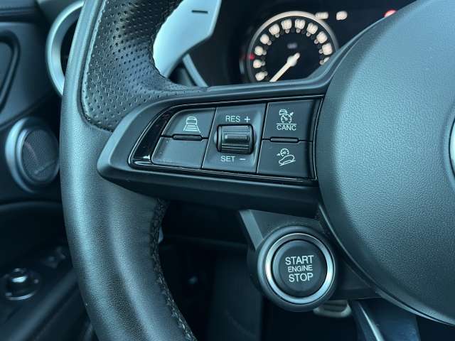 Fahrzeugbild eines Alfa Romeo Stelvio