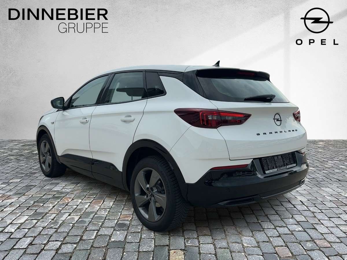 Fahrzeugbild eines Opel Grandland X