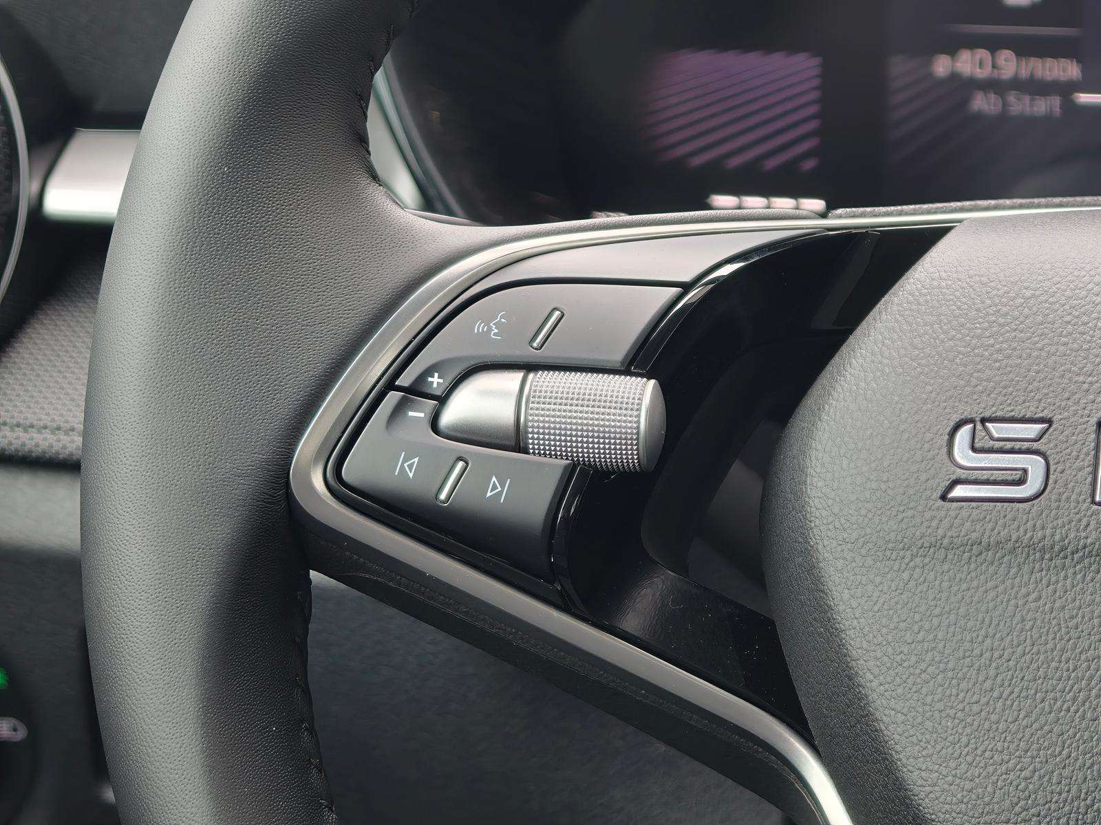 Fahrzeugbild eines Skoda Fabia
