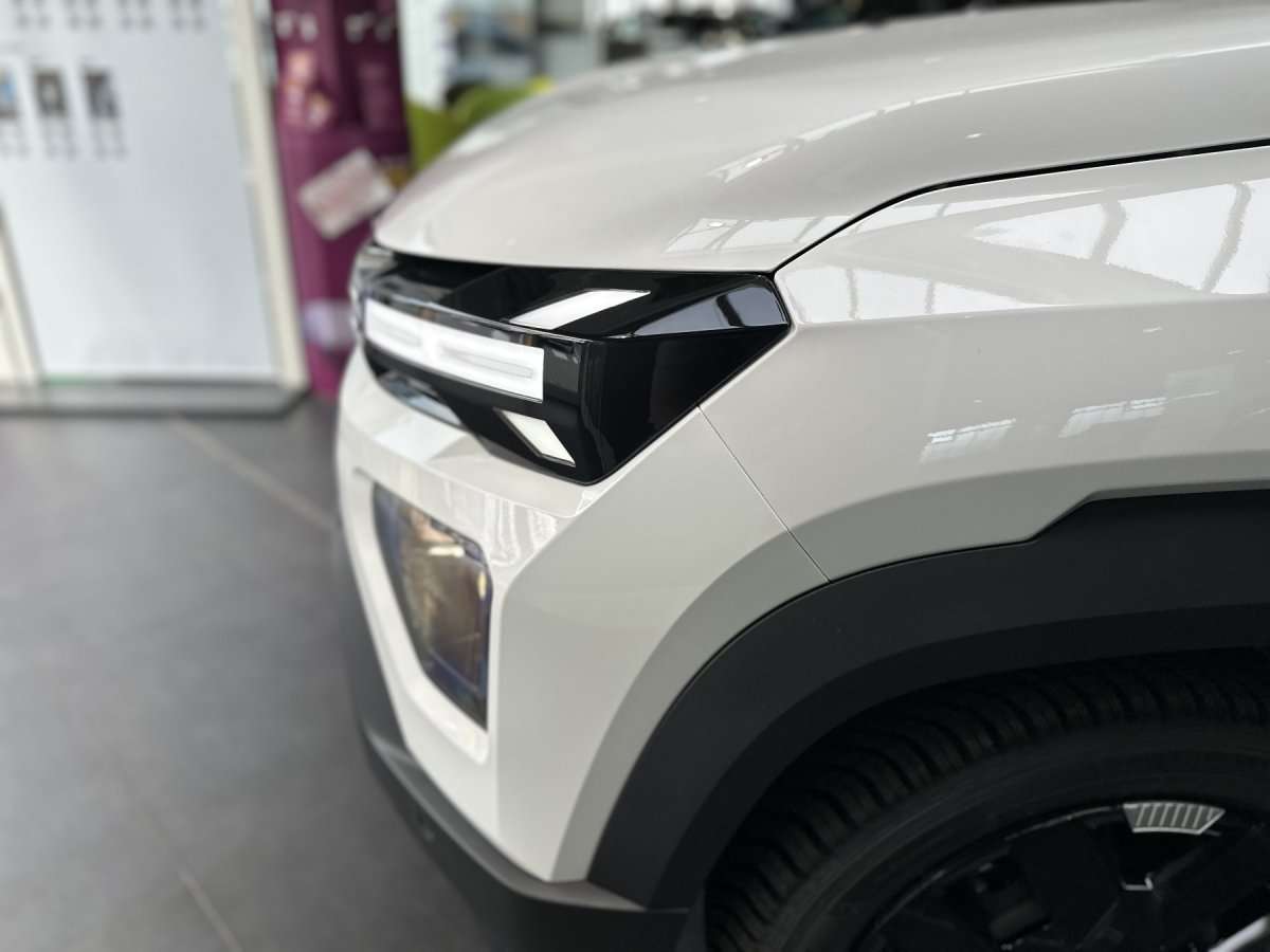 Fahrzeugbild eines Dacia Spring