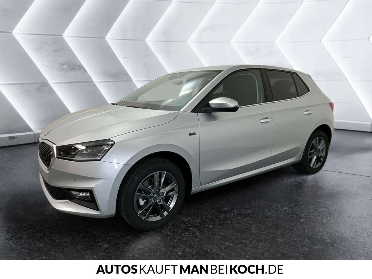 Fahrzeugbild eines Skoda Fabia