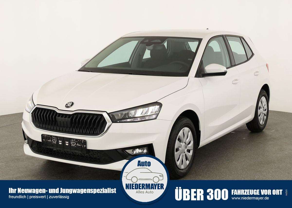 Fahrzeugbild eines Skoda Fabia