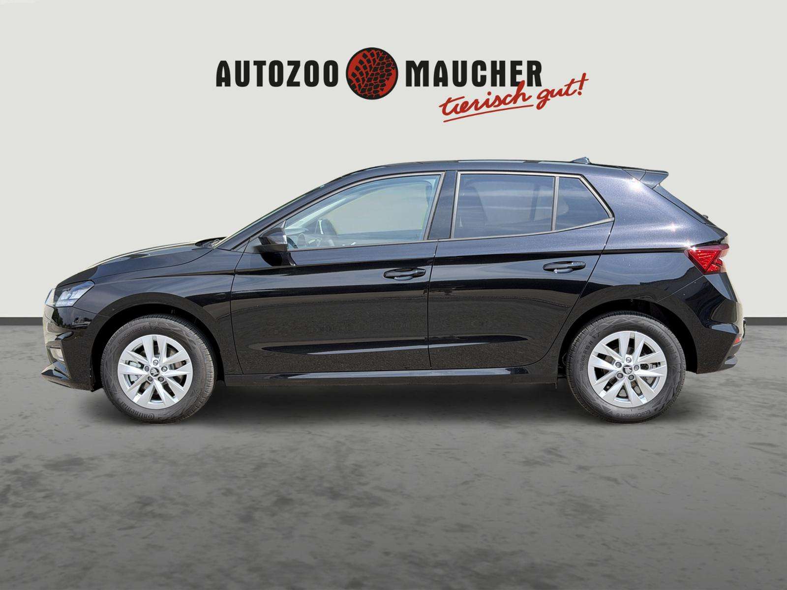 Fahrzeugbild eines Skoda Fabia