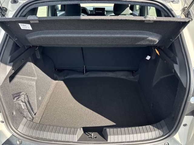 Fahrzeugbild eines Dacia Duster