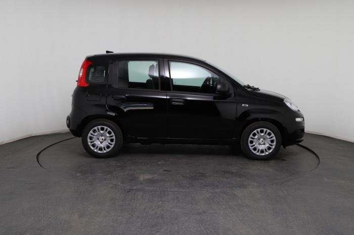 Fahrzeugbild eines Fiat Panda
