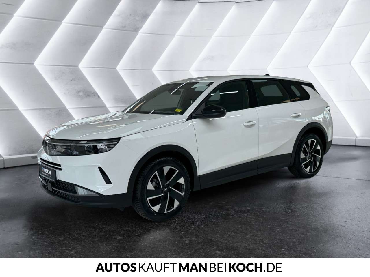 Fahrzeugbild eines Opel Grandland X