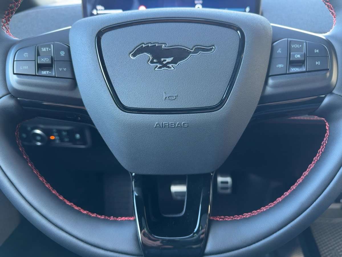 Fahrzeugbild eines Ford Mustang Mach-E