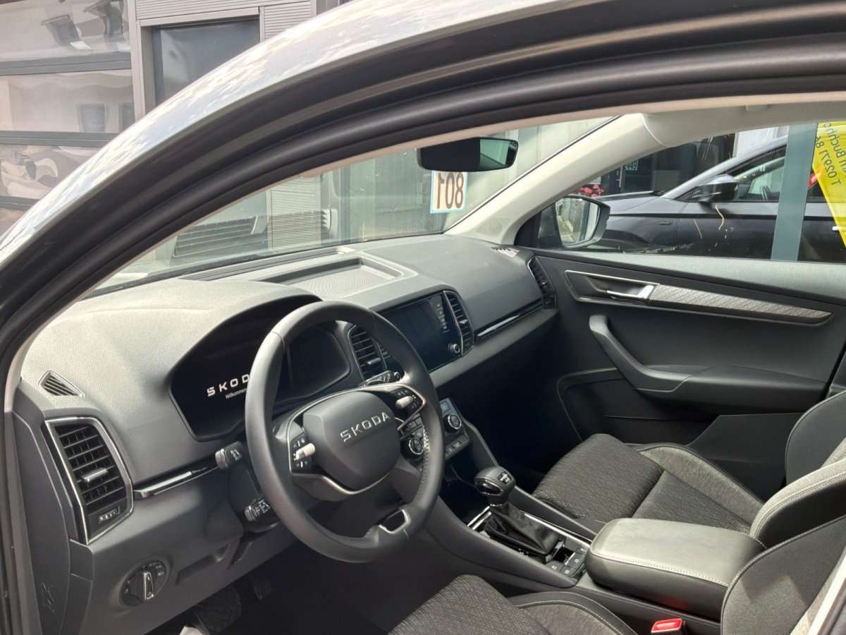 Fahrzeugbild eines Skoda Karoq