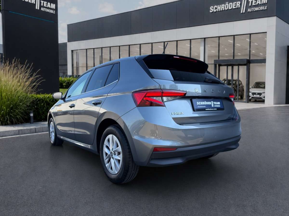 Fahrzeugbild eines Skoda Fabia