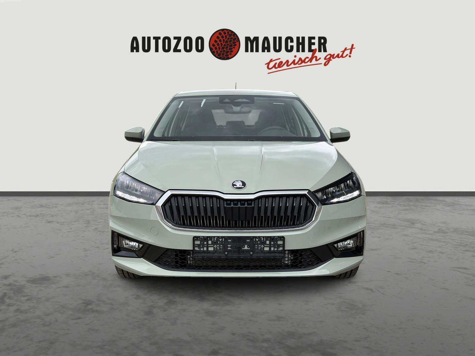 Fahrzeugbild eines Skoda Fabia