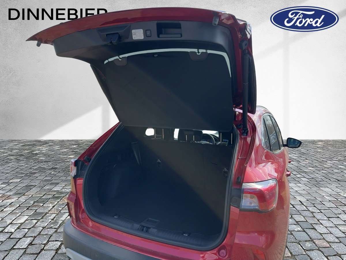 Fahrzeugbild eines Ford Kuga