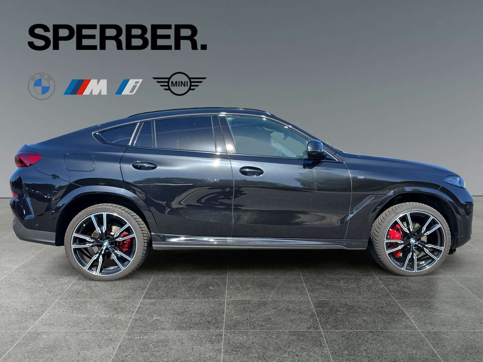 Fahrzeugbild eines BMW X6