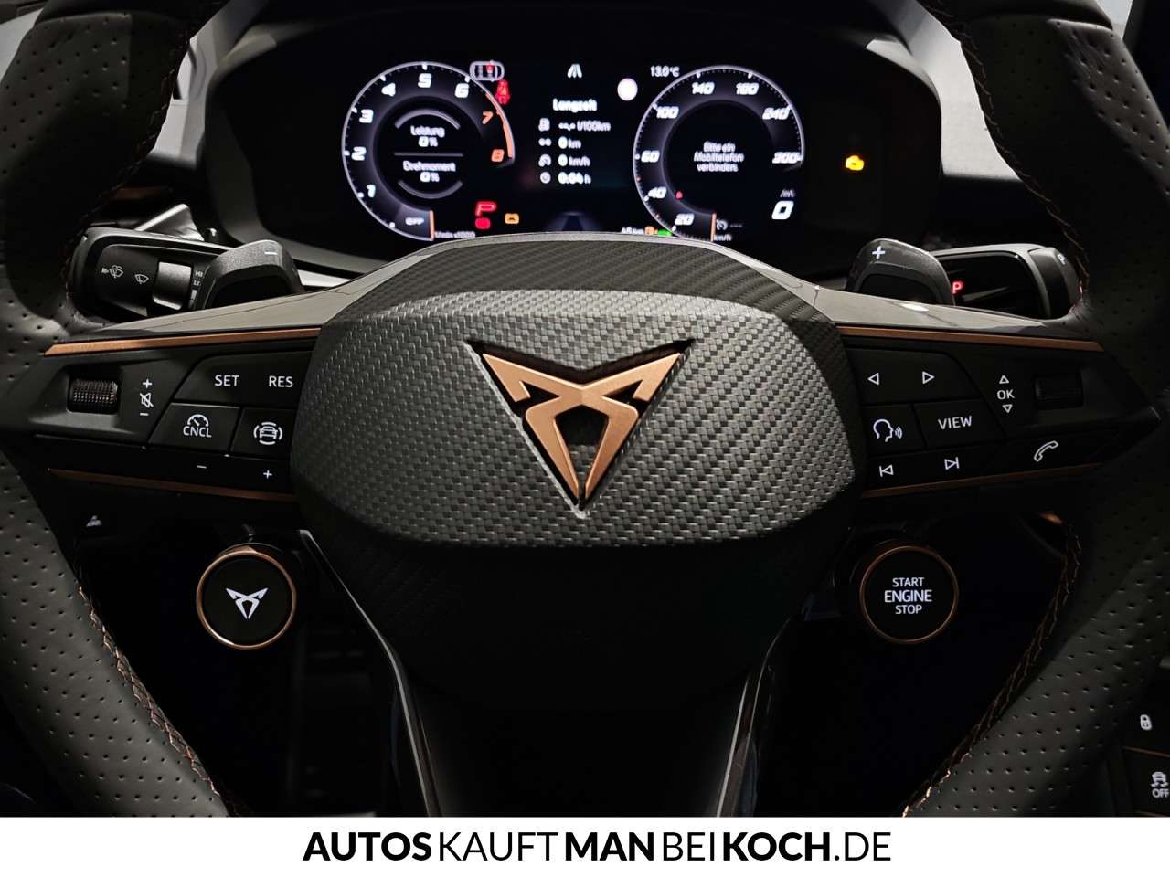 Fahrzeugbild eines CUPRA Terramar