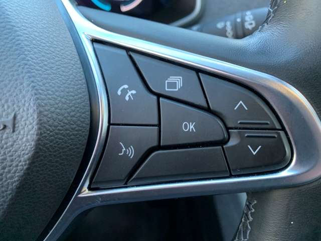 Fahrzeugbild eines Renault ZOE