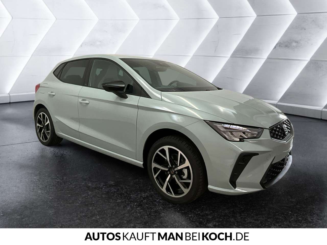Fahrzeugbild eines SEAT Ibiza