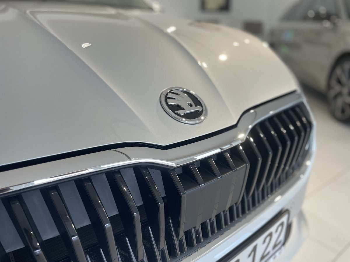 Fahrzeugbild eines Skoda Fabia
