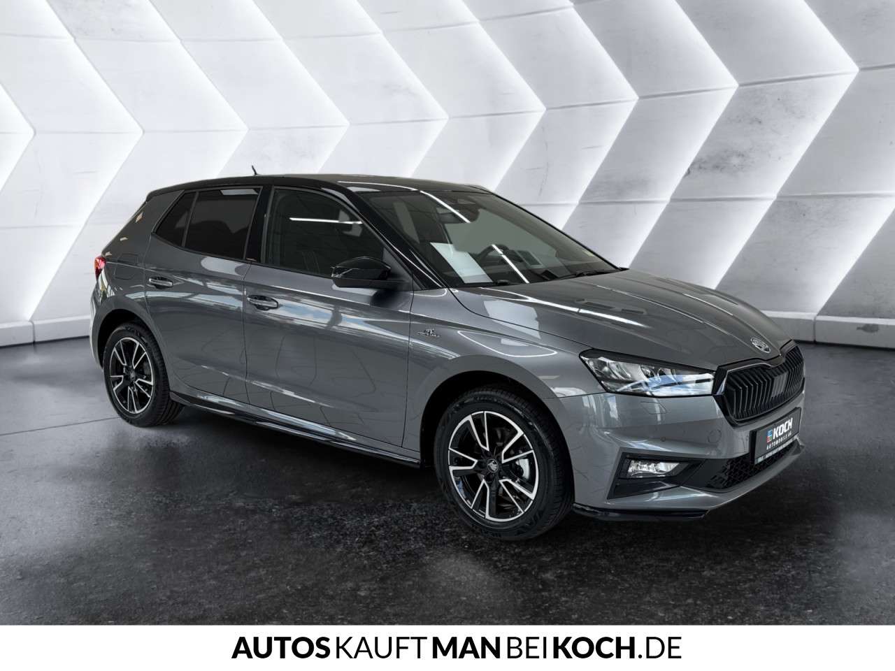 Fahrzeugbild eines Skoda Fabia