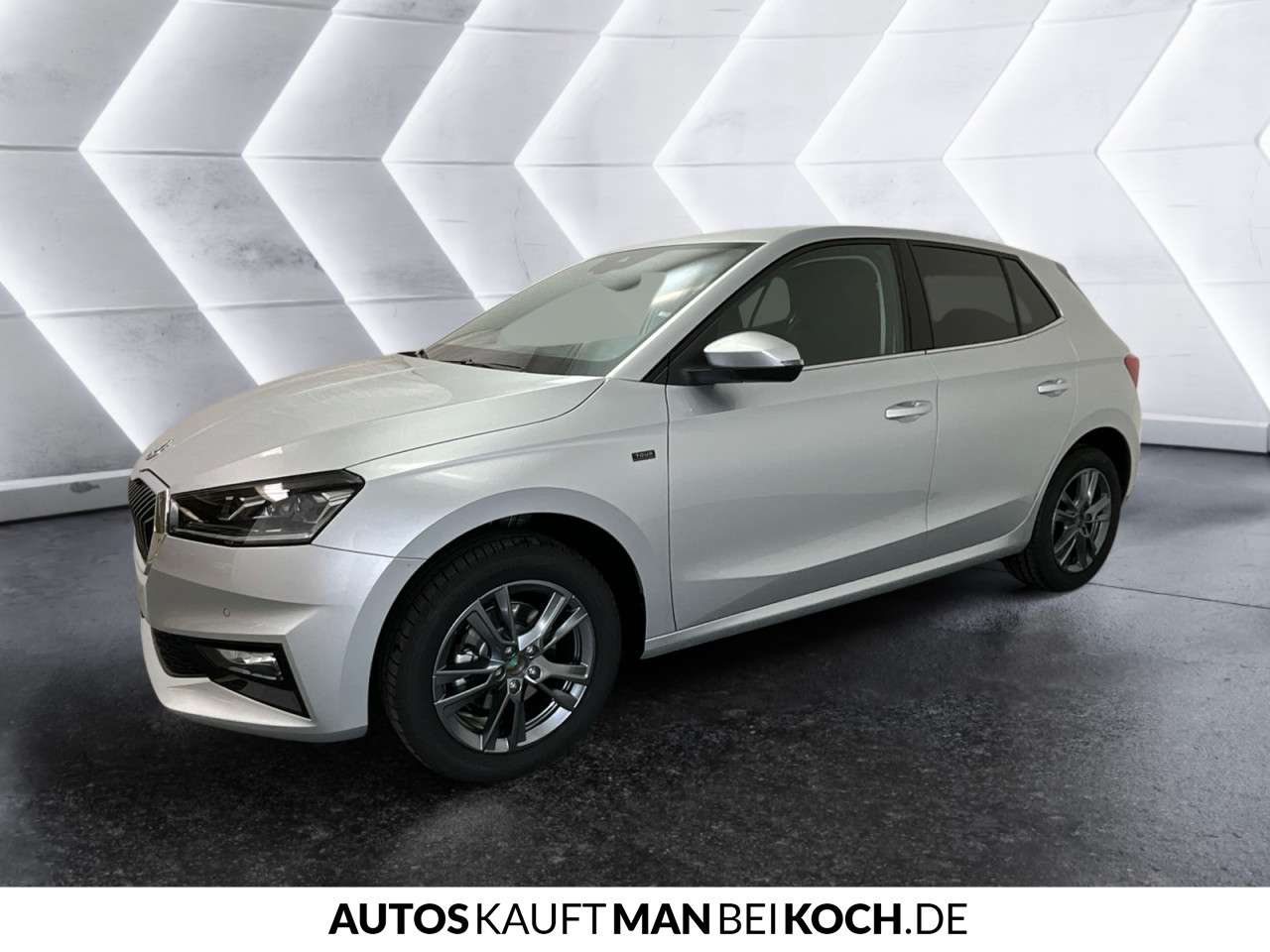 Fahrzeugbild eines Skoda Fabia