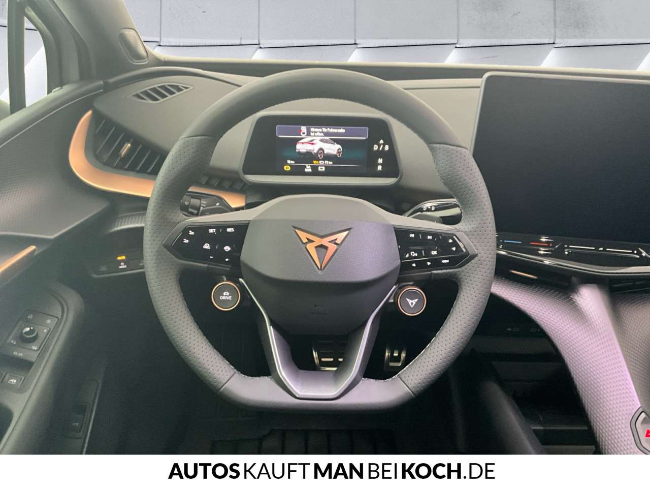 Fahrzeugbild eines CUPRA Tavascan