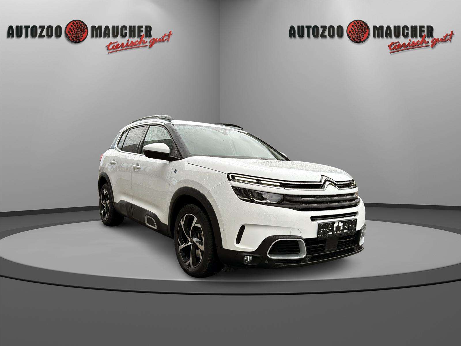Fahrzeugbild eines Citroën C5 Aircross