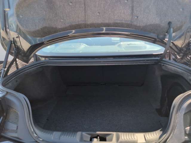 Fahrzeugbild eines Ford Mustang