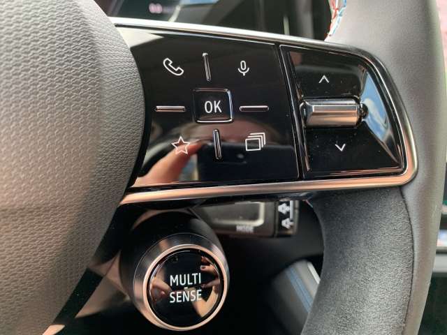 Fahrzeugbild eines Renault Austral