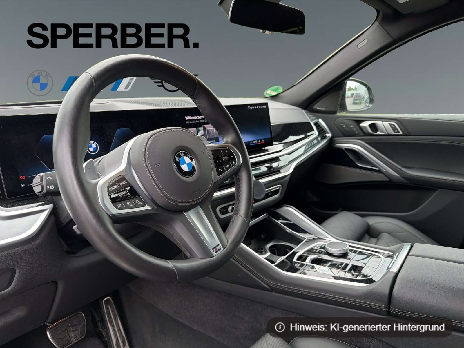 Fahrzeugbild eines BMW X6