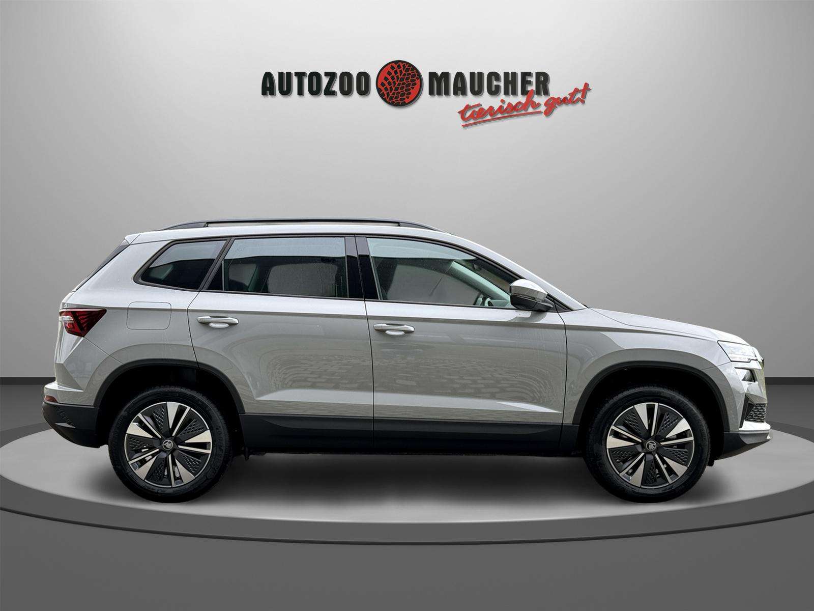 Fahrzeugbild eines Skoda Karoq