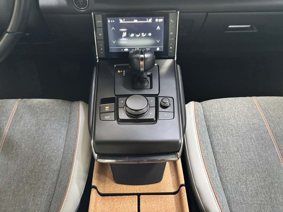 Fahrzeugbild eines Mazda MX-30