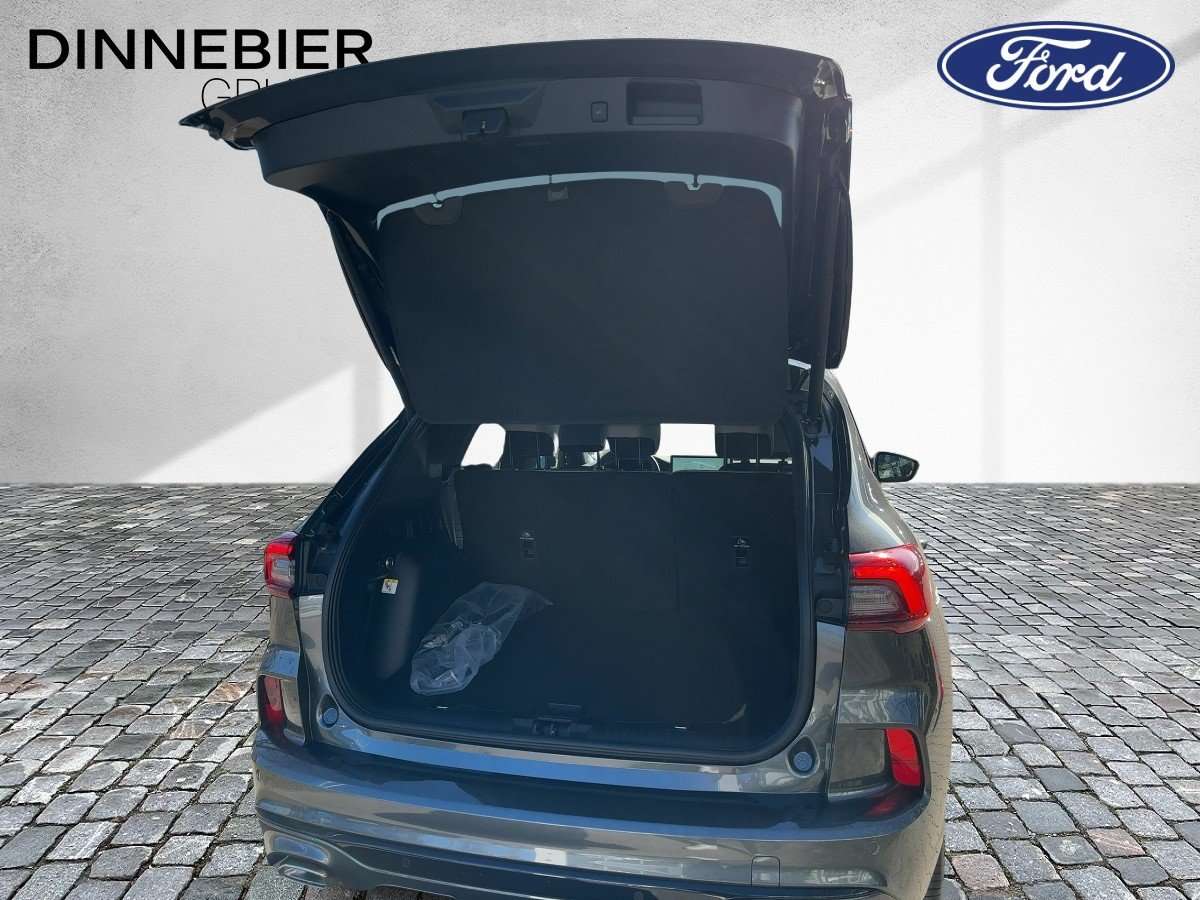 Fahrzeugbild eines Ford Kuga