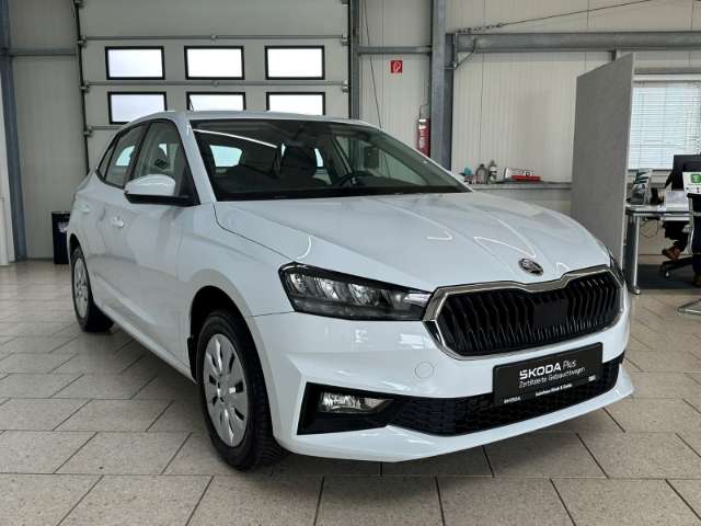 Fahrzeugbild eines Skoda Fabia