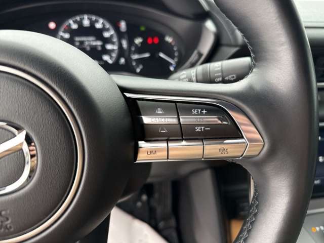 Fahrzeugbild eines Mazda MX-30