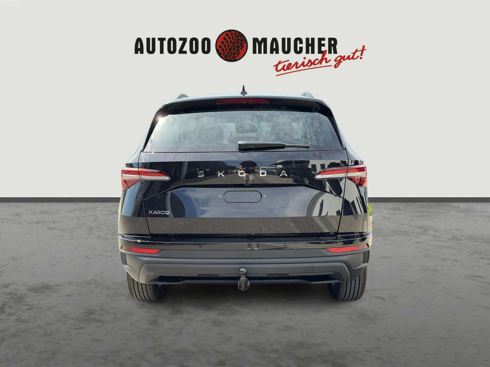 Fahrzeugbild eines Skoda Karoq