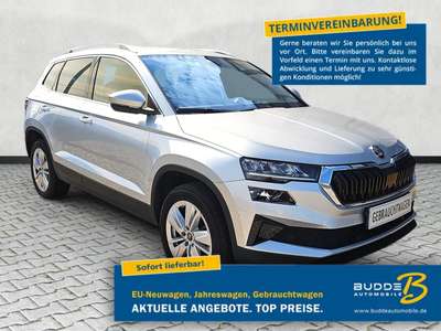 Bild Skoda Karoq
