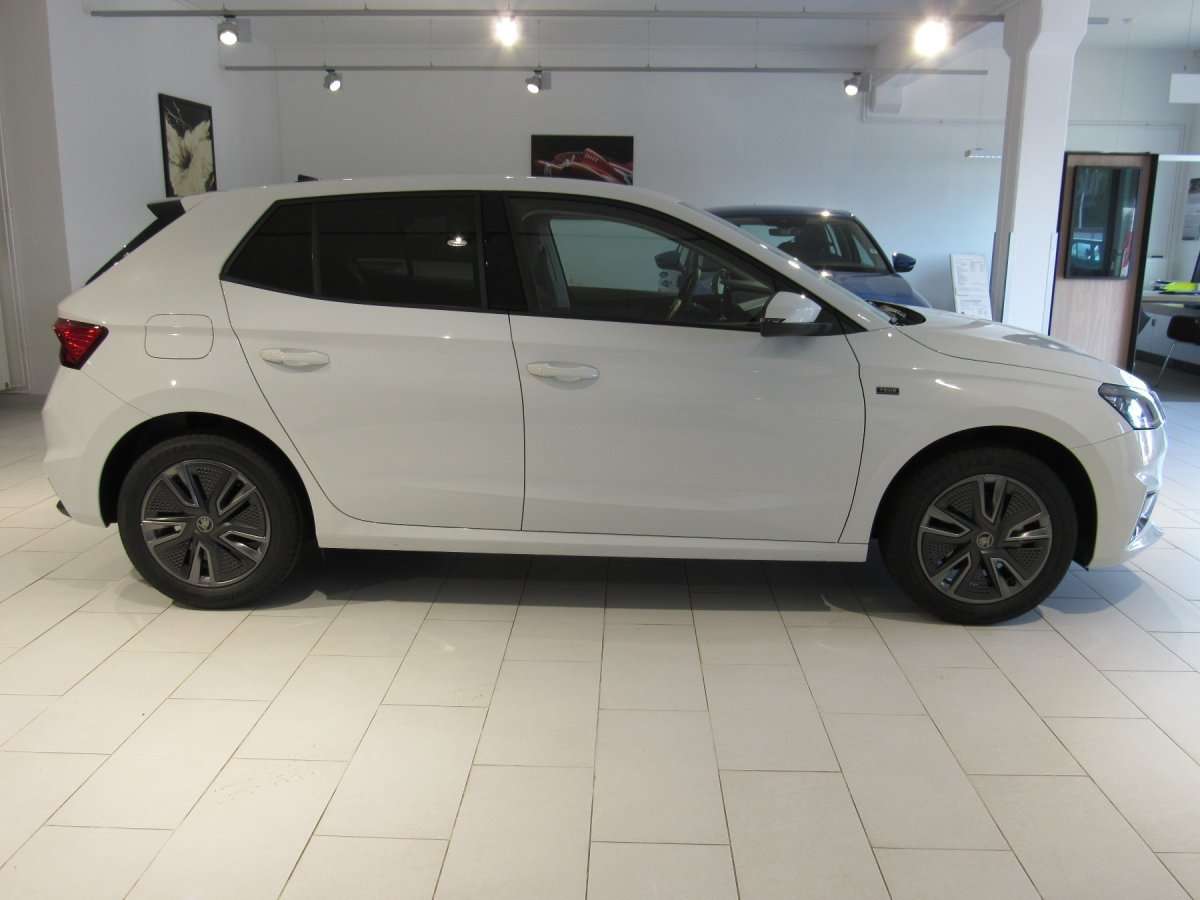 Fahrzeugbild eines Skoda Fabia