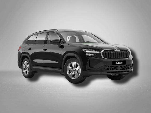 Fahrzeugbild eines Skoda Kodiaq