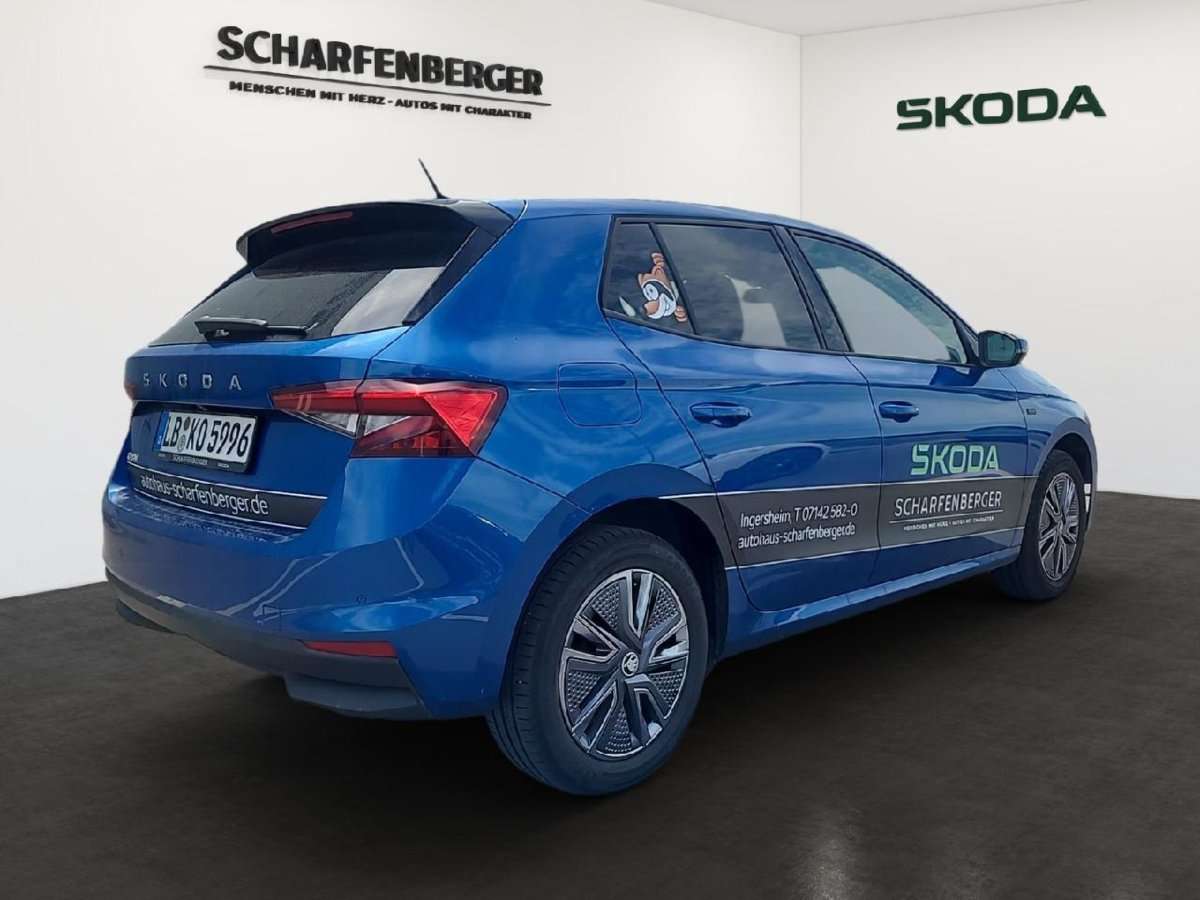 Fahrzeugbild eines Skoda Fabia