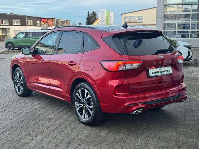Fahrzeugbild eines Ford Kuga