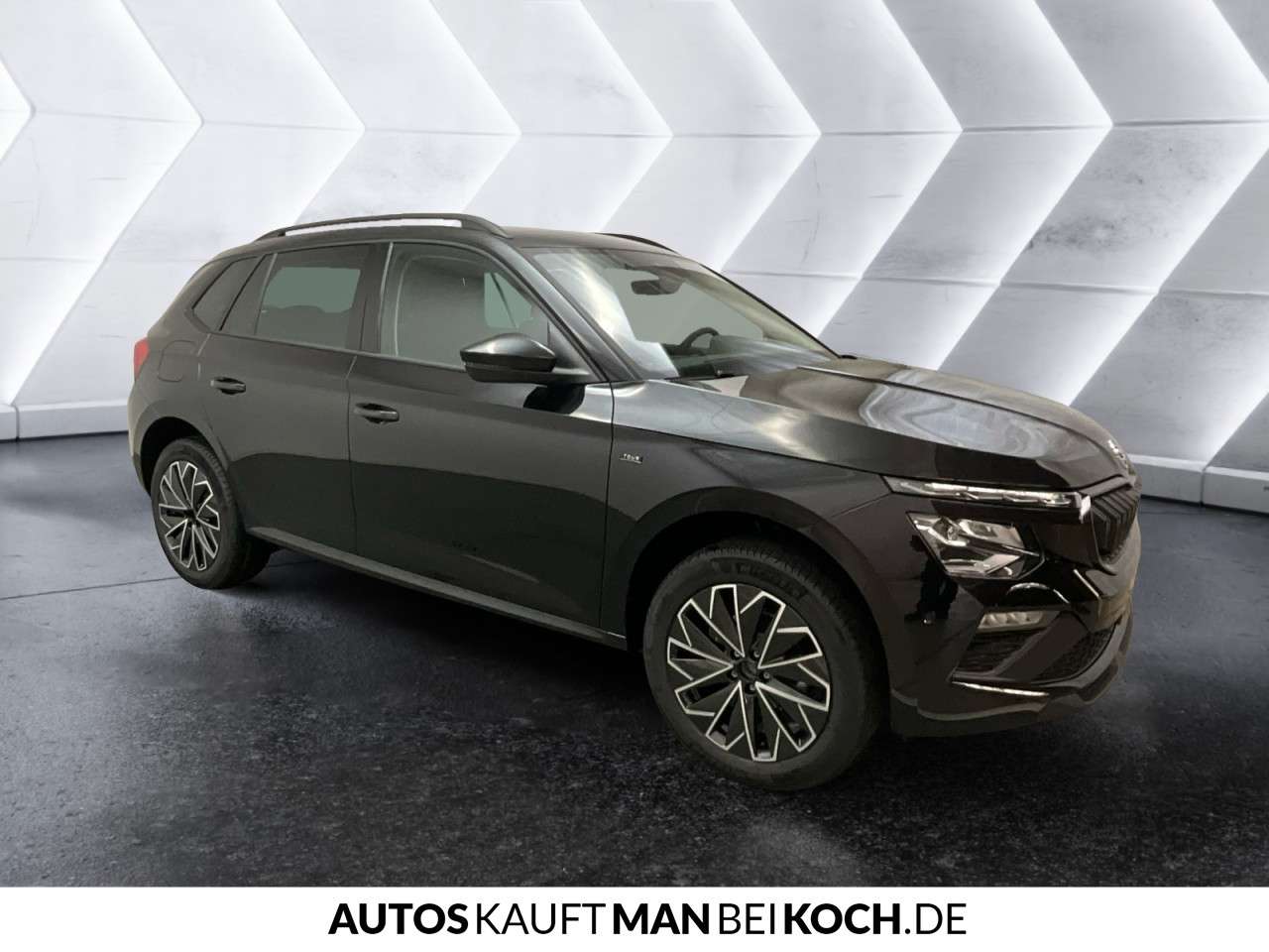 Fahrzeugbild eines Skoda Kamiq