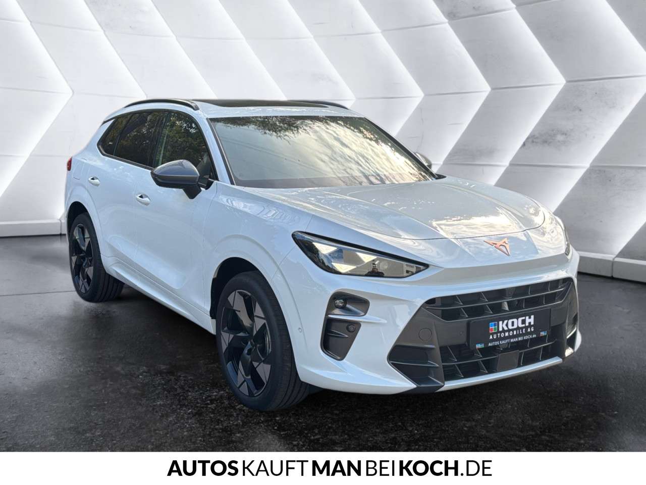 Fahrzeugbild eines CUPRA Terramar