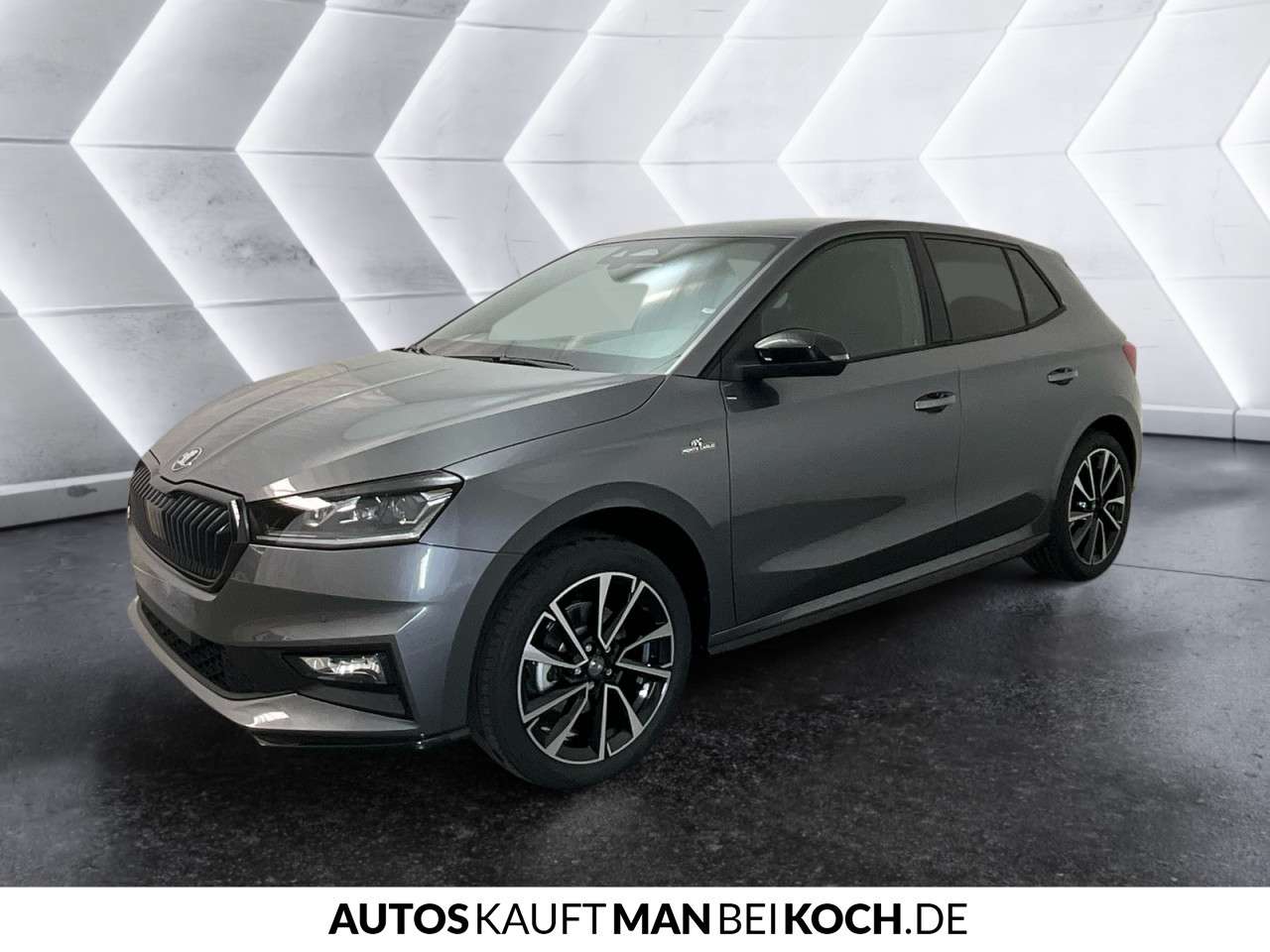 Fahrzeugbild eines Skoda Fabia