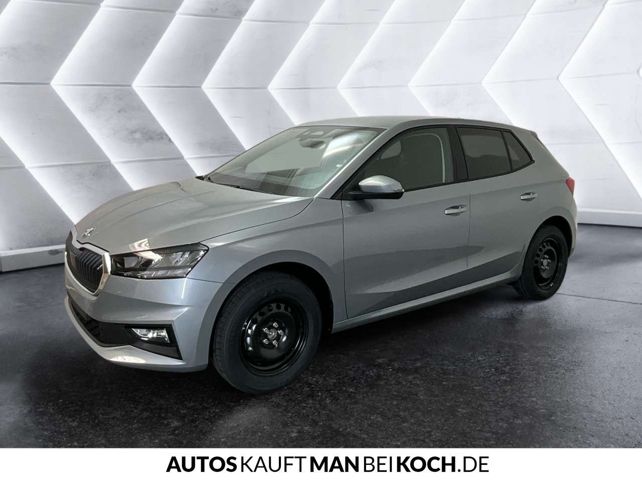 Fahrzeugbild eines Skoda Fabia