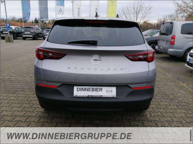 Fahrzeugbild eines Opel Grandland X